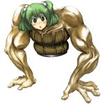  arm_support blush_stickers bucket face green_eyes green_hair hair_bobbles hair_ornament hands in_bucket in_container kisume lowres muscle neichiru touhou twintails what 