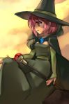  cape detached_sleeves dragon_quest dragon_quest_iii dress hat inuinui mage_(dq3) pink_hair red_eyes short_hair staff witch witch_hat 