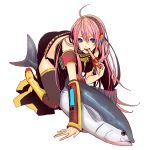 armband bad_id blue_eyes boots detached_sleeves fish headband licking long_hair megurine_luka open_mouth pink_hair simple_background thigh-highs thighhighs todoroki_sora tongue tuna vocaloid 