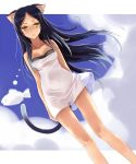  blue_hair blush cat_ears cat_eyes cat_tail katahira_masashi legs neko_no_hito original see-through slit_pupils tail thigh_gap yellow_eyes 