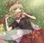  1girl black_shirt blonde_hair blue_eyes blurry bow bowtie eyebrows_visible_through_hair fairy_wings flower hair_bow hair_ribbon lily_of_the_valley looking_at_viewer lying medicine_melancholy meitei on_back puffy_short_sleeves puffy_sleeves red_bow red_bowtie red_ribbon red_skirt ribbon ribbon-trimmed_clothes ribbon-trimmed_skirt ribbon_trim shirt short_hair short_sleeves skirt solo su-san touhou transparent_wings wavy_hair wings 