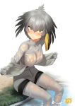  1girl black_hair blush bodystocking breasts closed_mouth collared_shirt eyebrows_visible_through_hair grass grey_hair grey_shirt grey_shorts ichihyaku_nanajuu kemono_friends large_breasts looking_at_viewer low_ponytail multicolored_hair orange_hair river riverbank see-through shirt shoebill_(kemono_friends) shorts side_ponytail simple_background sitting solo undressing water wet white_background yellow_eyes 