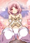  1girl arm_support arms_behind_back ass bare_shoulders cherry_blossoms foreshortening frame_arms_girl in_tree knees_together_feet_apart leaning_back legs materia_(frame_arms_girl) oborogumo_takamitsu outdoors panties petals pink_eyes pink_hair short_hair sitting smile solo thigh-highs tree underwear white_legwear white_panties 