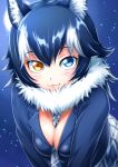  1girl animal_ears between_breasts black_hair blue_eyes blush breasts cleavage fang_out full_moon fur_collar grey_wolf_(kemono_friends) heterochromia highres kemono_friends large_breasts long_hair long_sleeves looking_at_viewer moon multicolored_hair necktie necktie_between_breasts sazanami_tarou skirt solo two-tone_hair wolf_ears yellow_eyes 