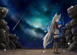  1girl animal_ears camera fox_ears fox_tail grey_hair highres hyouta_(yoneya) looking_at_viewer original shorts sky solo standing star_(sky) starry_sky tail thigh-highs 