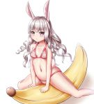 1girl animal_ears arm_support banana bikini breasts bunny_tail curly_hair elin_(tera) food fruit highres inflatable_toy leaning_forward legs long_hair lotpe navel pink_eyes rabbit_ears silver_hair simple_background sitting small_breasts smile solo spread_legs straddling striped striped_bikini swimsuit tail tera_online white_background 