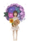  1girl bangs barefoot brown_eyes brown_hair closed_mouth dress eyebrows_visible_through_hair flower full_body harutask hat hat_removed headwear_removed holding holding_flower holding_hat looking_up original purple_flower rain short_dress short_hair simple_background solo standing straw_hat summer sunflower white_background white_dress 