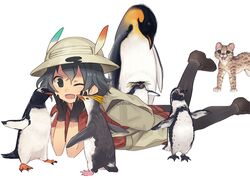  animalization backpack bag black_gloves black_hair bucket_hat emperor_penguin_(kemono_friends) gentoo_penguin_(kemono_friends) gloves hair_between_eyes hat hat_feather humboldt_penguin_(kemono_friends) kab00m_chuck kaban_(kemono_friends) kemono_friends margay_(kemono_friends) red_shirt rockhopper_penguin_(kemono_friends) royal_penguin_(kemono_friends) serval serval_print shirt short_hair shorts wavy_hair white_background 