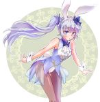  1girl animal_ears arms_at_sides bare_arms blue_eyes gluteal_fold iesupa long_hair neck_bow pantyhose rabbit_ears rwby scar scar_across_eye side_ponytail silver_hair solo weiss_schnee 
