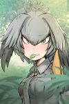  1girl blush breasts camera collared_shirt eating eyebrows_visible_through_hair feathers food_in_mouth frog green_hair grey_necktie grey_shirt hair_between_eyes head_wings kemono_friends leaf looking_at_viewer nature necktie outdoors ro_(aahnn) shirt shoebill_(kemono_friends) side_ponytail solo solo_focus staring sweatdrop twintails upper_body yellow_eyes 
