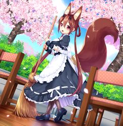  1girl animal_ears apron bangs black_legwear black_shoes blurry blush breasts broom brown_hair chair cherry_blossoms depth_of_field dutch_angle eyebrows_visible_through_hair fingerless_gloves frilled_apron frills from_side gloves hair_between_eyes hair_rings highres holding holding_broom looking_at_viewer maid mary_janes medium_breasts open_mouth outdoors pantyhose petals phantasy_star phantasy_star_online_2 polka_dot sakura_chiyo_(konachi000) shoes sidelocks smile solo standing tail twintails waist_apron 