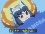  1girl :d aikatsu! animal_ears blush brown_eyes commentary flat_color grey_hair kemono_friends meme multicolored_hair official_style open_mouth parody pillow raccoon_(kemono_friends) raccoon_ears shirosato short_hair smile solo translated tsurime under_covers 