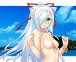  1girl 47agdragon :o animal_ears arched_back beach bikini bracelet breasts cat_ears green_eyes hair_over_one_eye hands_up jewelry long_hair looking_at_viewer medium_breasts open_mouth original outdoors photo ponytail sidelocks sketch solo swimsuit upper_body very_long_hair white_bikini white_bikini_top white_hair 