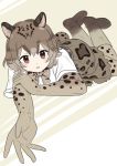  1girl animal_ears black_hair boots bow bowtie brown_eyes cat_ears cat_tail gloves grey_hair kemono_friends marbled_cat_(kemono_friends) momosuke_(ishakry) multicolored_hair pantyhose solo tail teeth two-tone_hair 