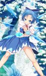  1girl blue_bow blue_dress blue_eyes blue_hair blush bow cirno dress flying foreshortening grin hair_bow hair_slicked_back himura_1129 ice ice_wings incoming_attack kedama looking_at_viewer puffy_short_sleeves puffy_sleeves river short_hair short_sleeves smile snow touhou tree wings 