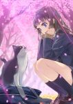  1girl bag blazer blue_eyes brown_hair cat cherry_blossoms commentary_request jacket long_hair open_mouth original petals school_uniform smile solo squatting tree yahako 