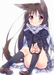  1girl animal_ears brown_hair ech fox_ears fox_tail highres jacket long_hair long_sleeves original panties pantyshot pantyshot_(sitting) pigeon-toed scarf shirt sitting skirt solo tail underwear upskirt very_long_hair violet_eyes white_panties 