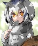  1girl buttons coat commentary_request feathers fur_collar head_wings kemono_friends long_sleeves looking_at_viewer northern_white-faced_owl_(kemono_friends) olo orange_eyes plate solo_focus spoon spoon_in_mouth tsukasawa_takamatsu underwear white_hair 