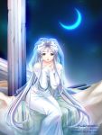  aa_megami-sama belldandy dress moon veil 