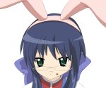  bad_id blue_hair bunny_ears eating food food_on_face glasses green_eyes kanon kawasumi_mai long_hair peppe rabbit_ears 