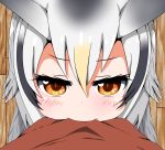  2girls absurdres biting black_hair blonde_hair blush brown_eyes commentary_request eurasian_eagle_owl_(kemono_friends) eyebrows_visible_through_hair from_above hair_between_eyes highres kaban_(kemono_friends) kanna_kamui kemono_friends kobayashi-san_chi_no_maidragon looking_at_viewer looking_up multicolored_hair multiple_girls northern_white-faced_owl_(kemono_friends) parody pov red_shirt shirt silver_hair solo_focus wooden_floor yanmaa_(yanmar195) 
