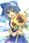  1girl :d blue_dress blue_eyes blue_hair bow cirno dress fang flower hair_bow hidden_star_in_four_seasons ice ice_wings looking_at_viewer minutachi open_mouth puffy_short_sleeves puffy_sleeves short_hair short_sleeves simple_background smile solo sunflower touhou white_background wings 