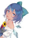  1girl blue_dress blue_eyes blue_hair bow cirno collarbone dress flower from_above hair_bow hidden_star_in_four_seasons hillly_(maiwetea) ice ice_wings looking_at_viewer looking_up off_shoulder perspective shiny shiny_skin short_hair simple_background solo sweat tan tongue tongue_out touhou upper_body wet wet_hair white_background wings 
