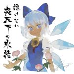  1girl blue_bow blue_dress blue_eyes blue_hair bow cirno commentary_request dated dress flower hair_bow hidden_star_in_four_seasons ice ice_wings looking_at_viewer morning_glory pink_flower puffy_short_sleeves puffy_sleeves shihou_(g-o-s) short_hair short_sleeves signature smile solo sunflower tan touhou translation_request upper_body white_background wings 