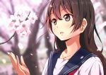  1girl air_0497 arm_at_side blurry branch brown_eyes brown_hair cherry_blossoms depth_of_field hair_between_eyes lips long_hair original parted_lips school_uniform serafuku tree upper_body 