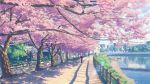  1girl bridge cherry_blossoms city original river scenery tree yuuko-san 