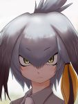  1girl close-up commentary_request expressionless eyebrows_visible_through_hair hair_between_eyes head_wings highres ikkyuu kemono_friends looking_at_viewer low_ponytail necktie shoebill_(kemono_friends) side_ponytail silver_hair solo wing_collar 