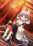  1girl animal_ears autumn autumn_leaves black_skirt breasts detached_sleeves dutch_angle inubashiri_momiji kei_kei lantern light_smile looking_at_viewer medium_breasts outdoors red_eyes red_skirt silver_hair skirt solo stairs sunset tabi tail torii touhou white_legwear wolf_ears wolf_tail 