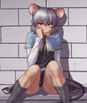  1girl animal_ears brick_wall capelet grey_hair grey_legwear hater_(hatater) highres jewelry looking_at_viewer mouse_ears mouse_tail nazrin panties pantyshot pantyshot_(sitting) pendant red_eyes short_hair sitting smile socks solo tail touhou underwear wall white_panties 