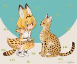  1girl 2017 :o animal animal_ears animal_print ankle_boots artist_name bare_shoulders beige_background belt black_ribbon blue_background blush boots bow bowtie brown_belt clenched_hands dated dot_nose elbow_gloves eye_contact eyebrows_visible_through_hair eyelashes flat_color full_body gloves grass hands_on_own_thighs high-waist_skirt highres kemono_friends looking_at_another multicolored multicolored_background nose_blush open_mouth orange_eyes orange_hair pio_(doragonheart) print_bow print_bowtie print_gloves print_legwear print_skirt ribbon serval serval_(kemono_friends) serval_ears serval_print serval_tail shirt shoe_ribbon short_hair signature sitting skirt sleeveless sleeveless_shirt squatting striped_tail tail tareme thigh-highs two-tone_background whiskers white_boots white_footwear white_shirt zettai_ryouiki 