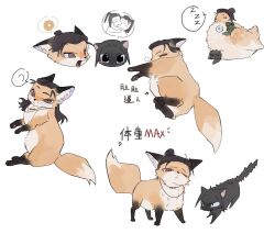  ? all_wishes_come_true! animal animal_feet animal_focus animalization bird black_bird black_cat black_eyes black_fur black_hair blue_bird brown_eyes cat chibi chicken chinese_text closed_eyes closed_mouth coin commentary_request fangs fox full_body hair_bun half_updo han_xiangzi_(all_wishes_come_true!) highres holed_coin jewelry long_hair looking_at_viewer lv_dongbin_(all_wishes_come_true!) lying multiple_views necklace no_humans nose_bubble nu3403338016859 on_side on_stomach one_eye_closed open_mouth ponytail simple_background single_hair_bun sitting sleeping smile speech_bubble spoken_question_mark spoken_zzz standing tail white_background white_fur yawning zhongli_quan_(all_wishes_come_true!) zzz 