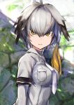  1girl amamitsu_kousuke blurry blurry_background bodystocking breasts grey_shirt head_wings kemono_friends long_hair looking_at_viewer low_ponytail medium_breasts multicolored_hair necktie shirt shoebill_(kemono_friends) short_sleeves side_ponytail solo yellow_eyes 