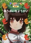  1girl :3 animal_ears back_cover bangs blurry blurry_background blush bow brown_eyes brown_hair bush cat_ears cat_tail check_translation chen close-up green_hat hair_between_eyes hat highres kemono_friends liya long_sleeves multiple_tails red_vest reflective_eyes shirt short_hair smile solo tail title_parody touhou translation_request two_tails upper_body vest white_shirt 