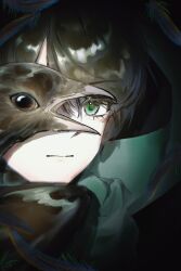  1boy absurdres beak bird black_eyes black_feathers black_hair chinese_commentary close-up commentary_request crow dark eheiheiheiheiheihei expressionless eye_focus feathers floating_scarf green_eyes green_scarf heterochromia highres looking_at_viewer male_focus mamiya_yumehisa mole mole_under_eye one_eye_covered scarf sekai_metsubou_kyouyuu_gensou_mamiya short_hair 