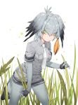  1girl black_hair gloves grass grey_hair head_wings highres kemono_friends long_hair multicolored_hair necktie ronopu shoebill_(kemono_friends) silver_hair solo tail yellow_eyes 