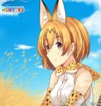  animal_ears blonde_hair cat danraku highres japari_symbol kemono_friends savannah serval_(kemono_friends) serval_ears yellow_eyes 
