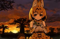  1girl animal_ears bare_shoulders belt blonde_hair brown_eyes closed_mouth clouds elbow_gloves gloves head high-waist_skirt holding itukitasuku kemono_friends light_smile outdoors paper_airplane serval_(kemono_friends) serval_ears serval_print serval_tail shirt skirt sky sleeveless sleeveless_shirt solo striped_tail sunset tail tree 