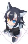  1girl :&gt; animal_ears black_hair black_jacket black_legwear blazer blue_eyes blush breast_pocket clenched_hands eyebrows eyebrows_visible_through_hair eyelashes fang fang_out floor from_above full_body fur_collar fur_trim gloves gradient_clothes grey_wolf_(kemono_friends) hair_between_eyes heterochromia highres indoors jacket kemono_friends kibisake long_hair long_sleeves looking_at_viewer looking_up multicolored_hair necktie nose_blush plaid plaid_necktie plaid_skirt pleated_skirt pocket shadow skirt sleeve_cuffs slit_pupils smile solo squatting thigh-highs tsurime two-tone_hair wavy_hair white_background white_gloves white_hair wolf_ears yellow_eyes zettai_ryouiki 