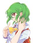  1girl ascot breasts collared_shirt green_hair hand_in_hair highres index_finger_raised kazami_yuuka looking_at_viewer plaid plaid_vest pointing profile red_eyes retora shirt short_hair simple_background smile solo touhou upper_body vest white_background 