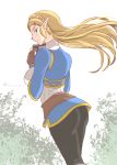  1girl ass braid gloves green_eyes kaidou_mitsuki long_hair looking_at_viewer pointy_ears princess_zelda the_legend_of_zelda the_legend_of_zelda:_breath_of_the_wild 