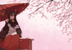  1girl animal_ears blouse brooch brown_eyes brown_hair cherry_blossoms eating hanami highres imaizumi_kagerou jewelry kaginoni long_hair long_skirt oriental_umbrella petals red_skirt short_over_long_sleeves skirt solo tail touhou umbrella very_long_hair white_blouse wolf_ears wolf_tail 