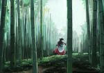  1girl animal_ears back bamboo bamboo_forest brown_hair capelet commentary_request dress forest ichiba_youichi imaizumi_kagerou landscape long_hair long_sleeves looking_back nature solo touhou wolf_ears 