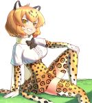  1girl animal_ears arm_support blonde_hair blush bow bowtie elbow_gloves fur_collar gloves grass hand_on_own_knee iwahana jaguar_(kemono_friends) jaguar_ears jaguar_print jaguar_tail kemono_friends looking_at_viewer multicolored_hair open_mouth shirt short_hair short_sleeves simple_background sitting skirt smile solo tail thigh-highs white_background zettai_ryouiki 