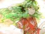  1girl buttons cloud_print collared_shirt curly_hair fang green_eyes green_hair highres horn huang_li_ling kariyushi_shirt komano_aunn long_hair parted_lips red_shirt shirt solo touhou 