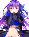  1girl blue_eyes blue_ribbon fate/extra fate/extra_ccc fate/grand_order fate_(series) fujikiri_yana hair_ribbon highres long_hair long_sleeves meltlilith midriff navel open_mouth purple_hair ribbon sleeves_past_wrists solo 