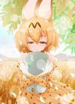  1girl animal_ears bare_shoulders blonde_hair blush brown_eyes bucket_hat closed_mouth day elbow_gloves eyebrows_visible_through_hair gloves grass hair_between_eyes hat hat_feather high-waist_skirt highres kemono_friends lens_flare object_hug outdoors pandemic14 plant savannah serval_(kemono_friends) serval_ears serval_print shirt short_hair skirt sleeveless sleeveless_shirt smile solo white_shirt wind 